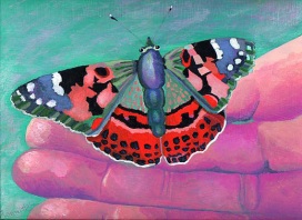 Butterflydoctor2